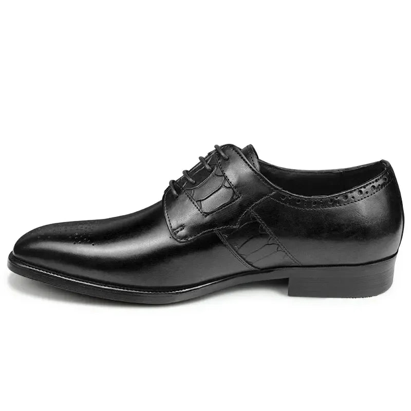 Bauluvio - Brogue-Derby-Schuhe aus Leder zum Schnüren