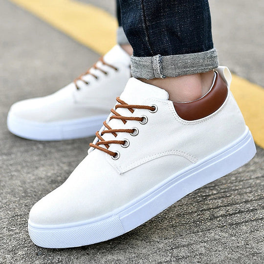 Bauluvio - Herren Casual Canvas Schuhe